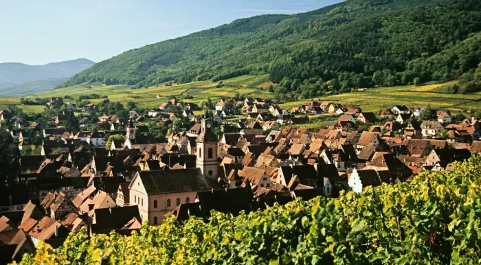 L'Alsace et la Route des Vins : Traditions & Patrimoine
