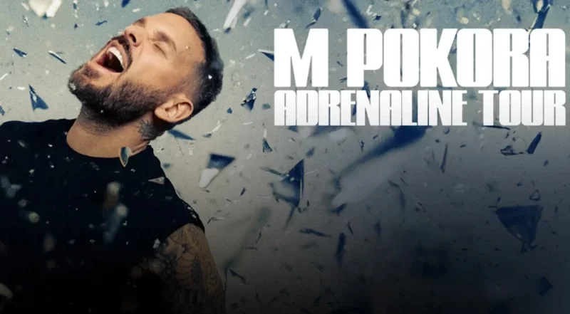 M. Pokora en concert