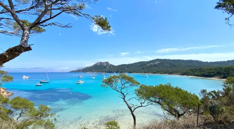 Journée à Porquerolles