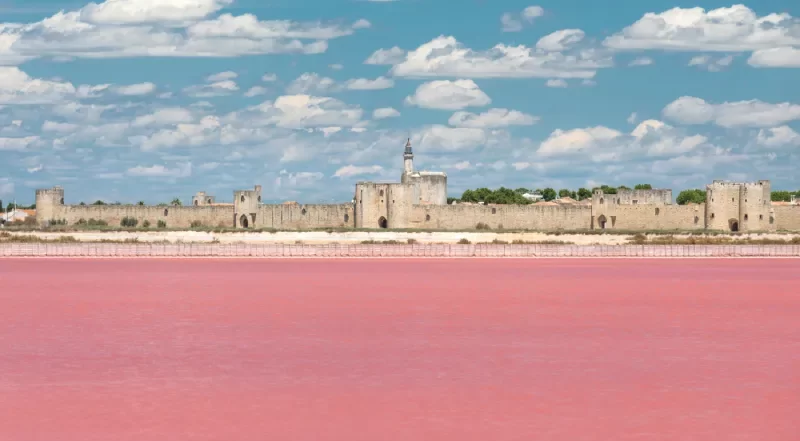 Journée en Camargue
