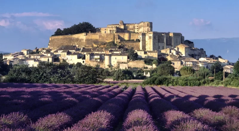 Autour de la Truffe en Drôme Provençale
