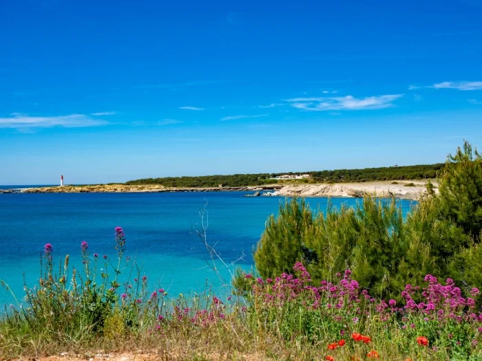 La Côte Bleue en Bateau