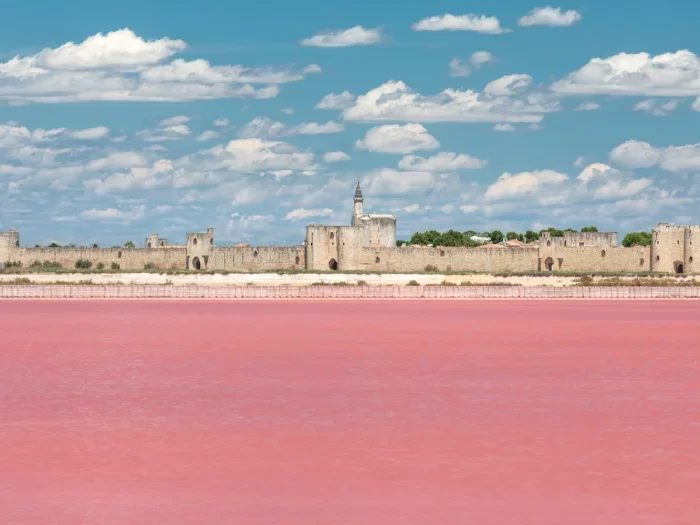 Camargue