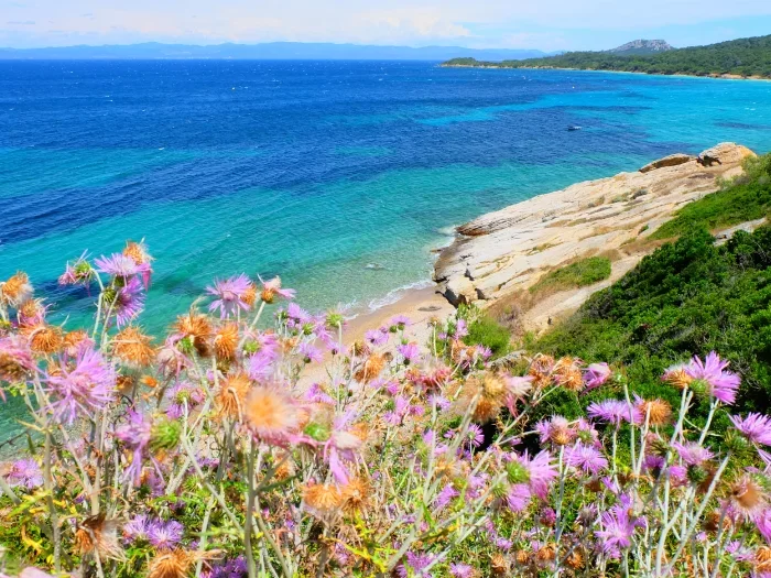 Porquerolles